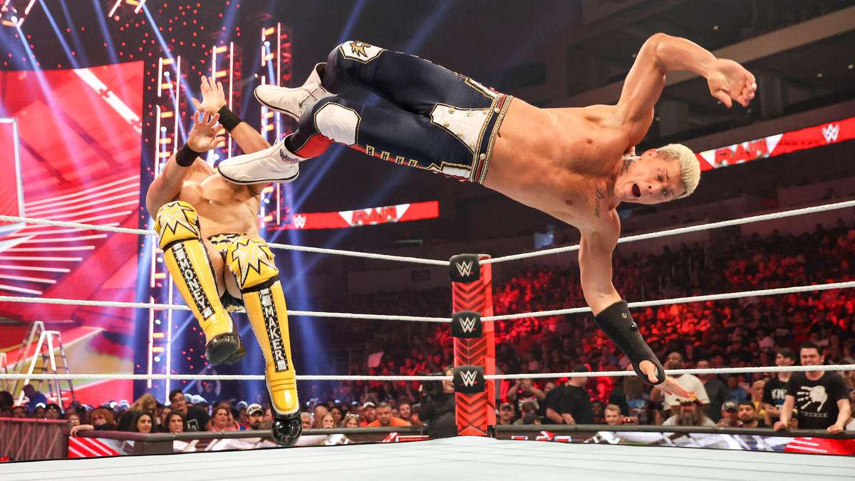 森林的比赛 森林的比赛