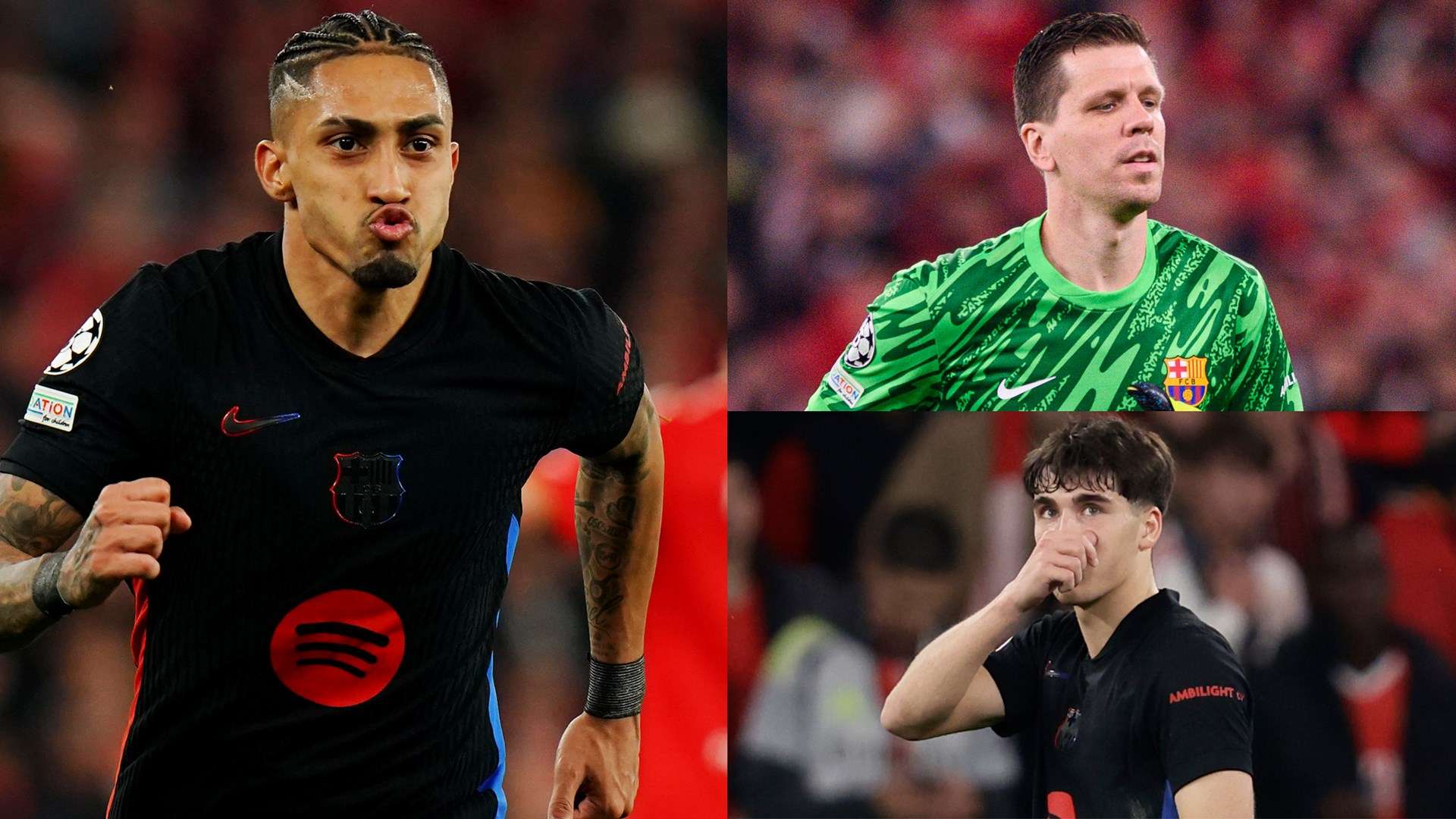 示与展望 示与展望