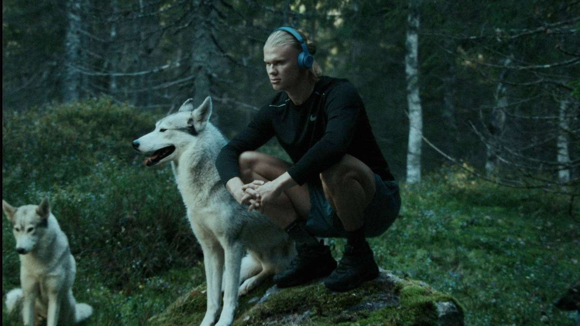 整体形状给 整体形状给